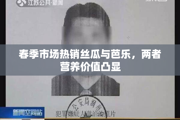 春季市场热销丝瓜与芭乐，两者营养价值凸显