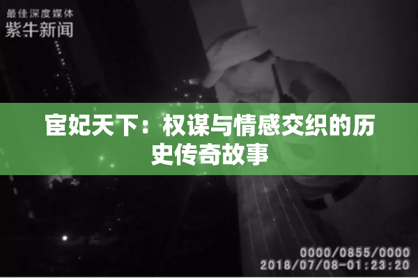 宦妃天下：权谋与情感交织的历史传奇故事