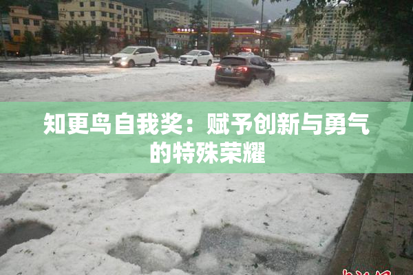 知更鸟自我奖：赋予创新与勇气的特殊荣耀