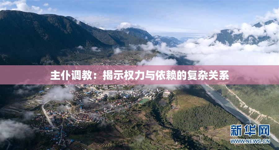 主仆调教：揭示权力与依赖的复杂关系