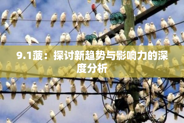 9.1菠：探讨新趋势与影响力的深度分析