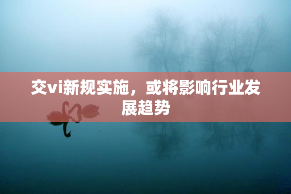 交vi新规实施，或将影响行业发展趋势