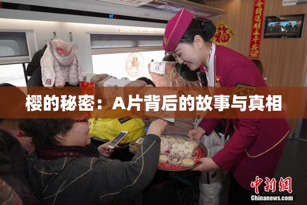 樱的秘密：A片背后的故事与真相
