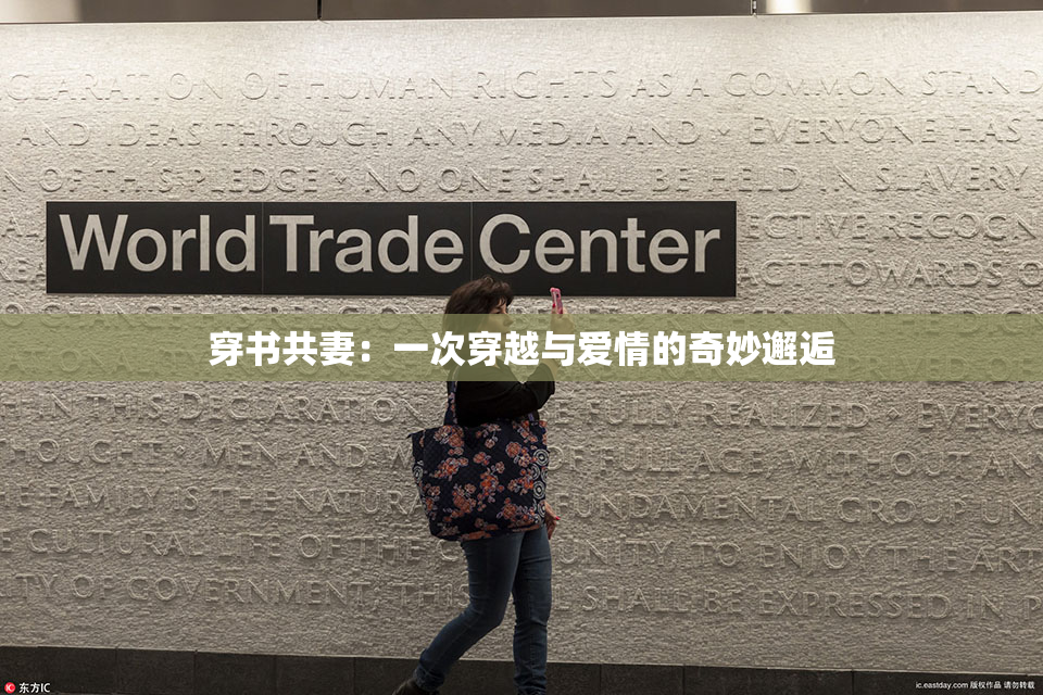 穿书共妻：一次穿越与爱情的奇妙邂逅