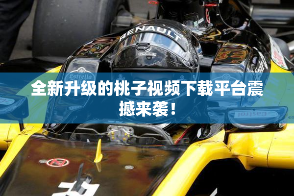 全新升级的桃子视频下载平台震撼来袭！