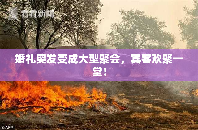 婚礼突发变成大型聚会，宾客欢聚一堂！