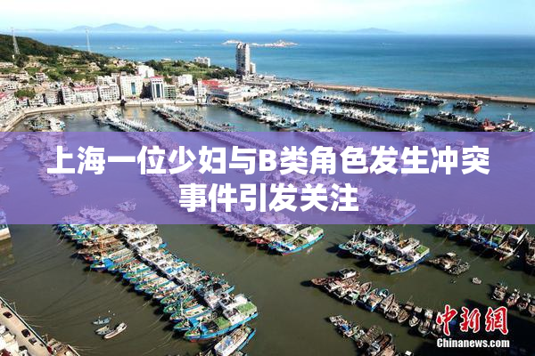 上海一位少妇与B类角色发生冲突事件引发关注