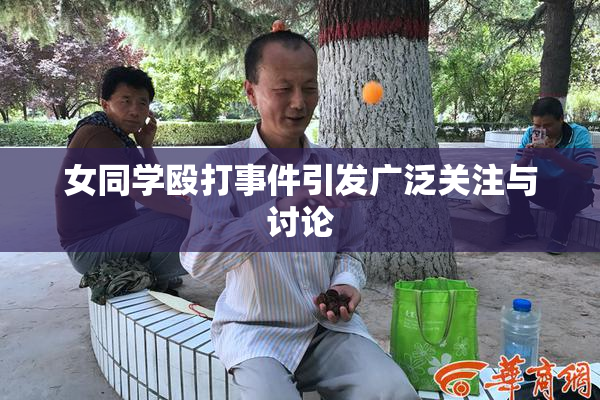 女同学殴打事件引发广泛关注与讨论