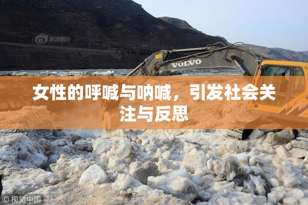 女性的呼喊与呐喊，引发社会关注与反思
