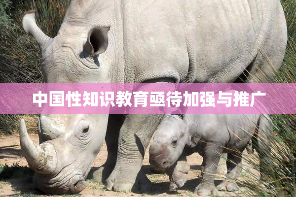 中国性知识教育亟待加强与推广