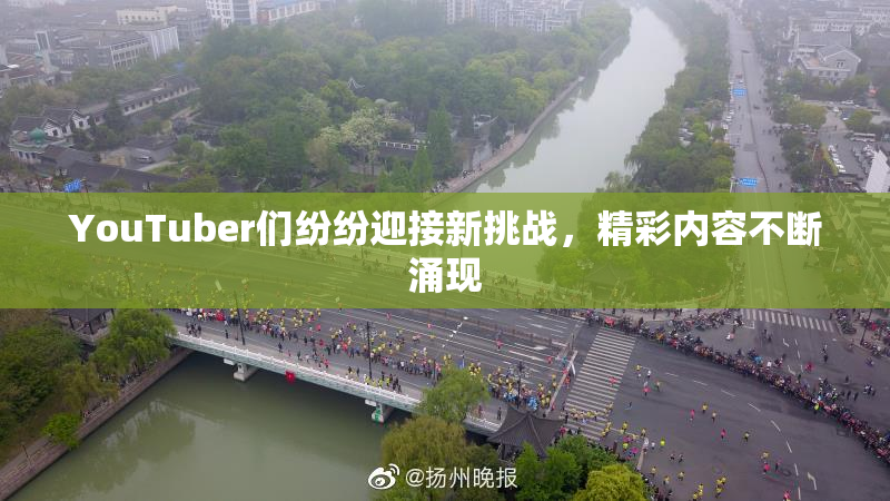 YouTuber们纷纷迎接新挑战，精彩内容不断涌现