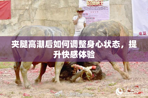 夹腿高潮后如何调整身心状态，提升快感体验