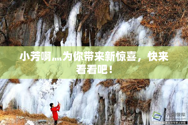 小芳啊灬为你带来新惊喜，快来看看吧！