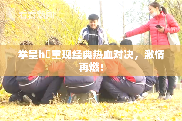 拳皇h婬重现经典热血对决，激情再燃！