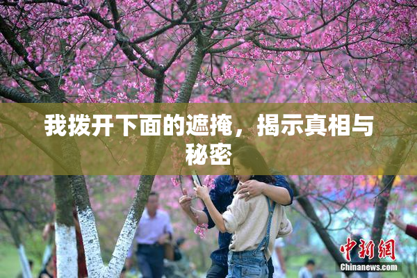 我拨开下面的遮掩，揭示真相与秘密
