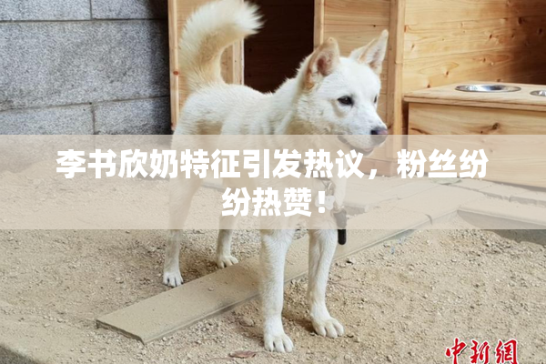 李书欣奶特征引发热议，粉丝纷纷热赞！