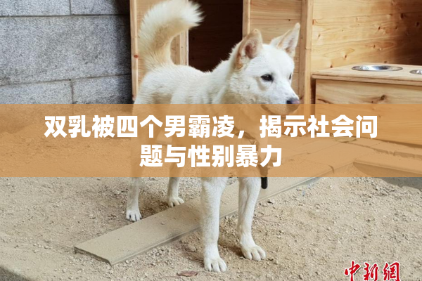 双乳被四个男霸凌，揭示社会问题与性别暴力