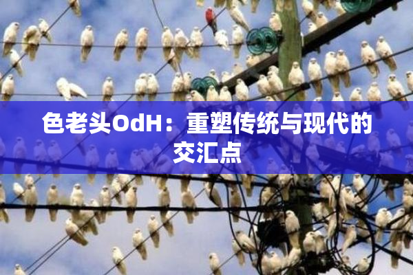 色老头OdH：重塑传统与现代的交汇点