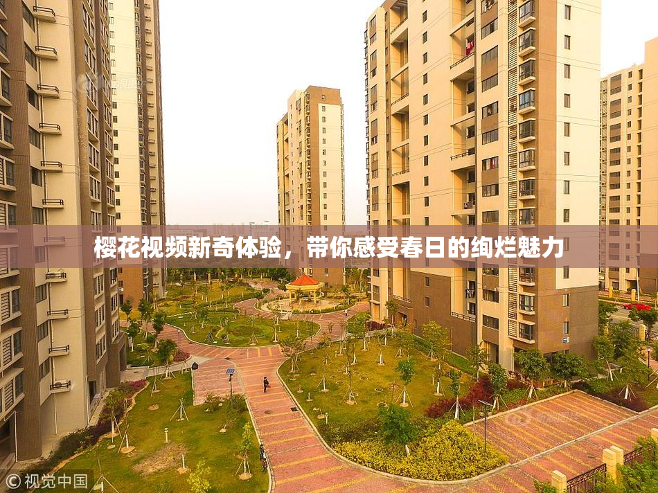 樱花视频新奇体验，带你感受春日的绚烂魅力