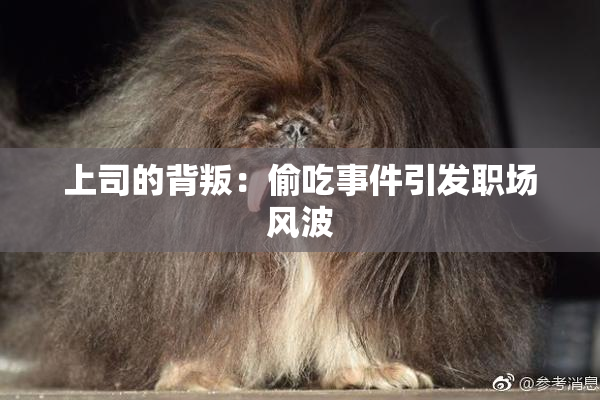上司的背叛：偷吃事件引发职场风波