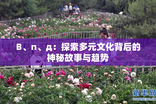 B、n、д：探索多元文化背后的神秘故事与趋势