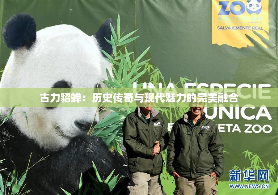 古力貂蝉：历史传奇与现代魅力的完美融合