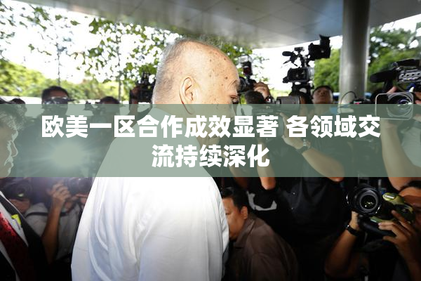 欧美一区合作成效显著 各领域交流持续深化