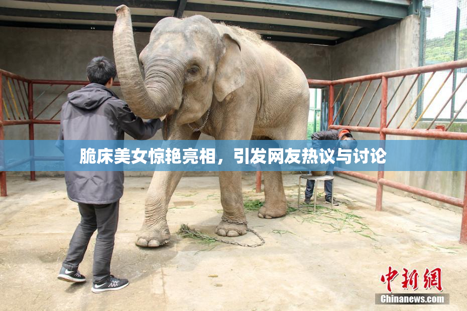 脆床美女惊艳亮相，引发网友热议与讨论