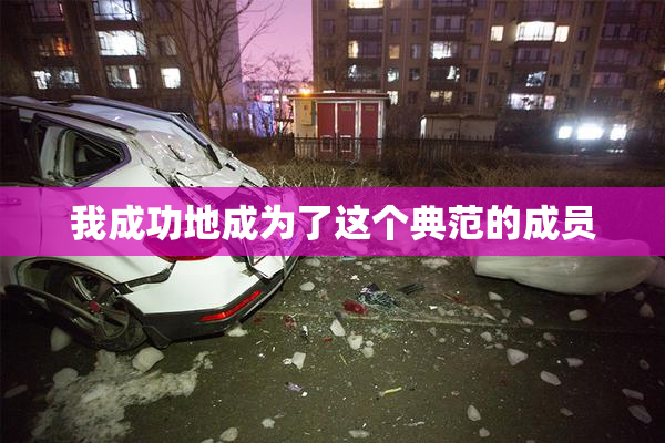 我成功地成为了这个典范的成员