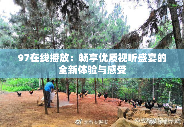 97在线播放：畅享优质视听盛宴的全新体验与感受