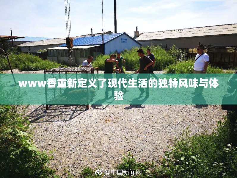 www香重新定义了现代生活的独特风味与体验