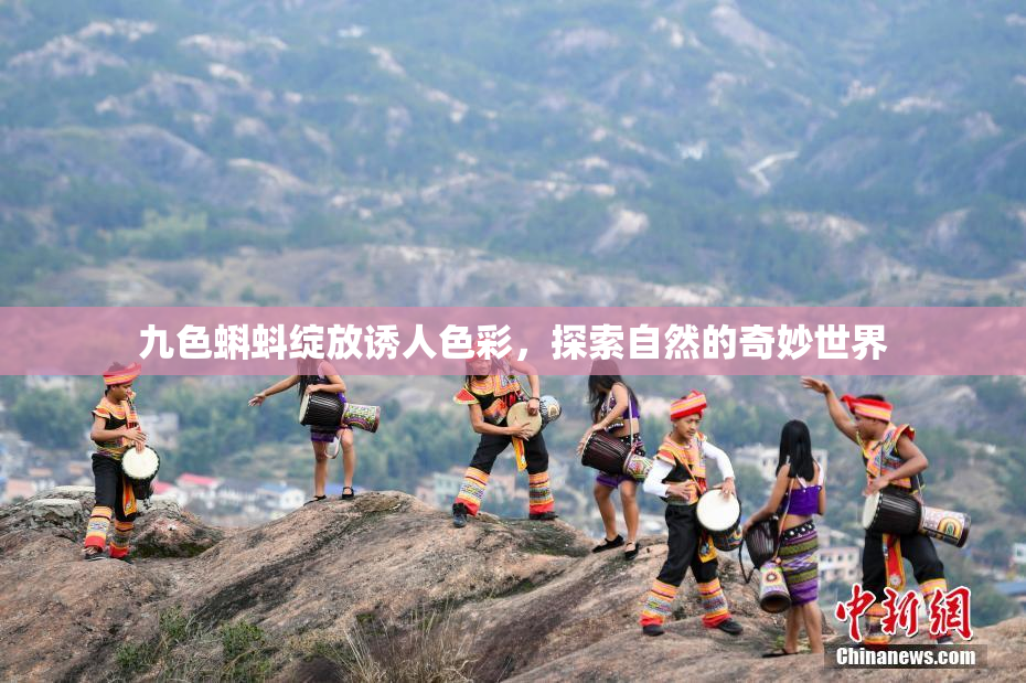 九色蝌蚪绽放诱人色彩，探索自然的奇妙世界