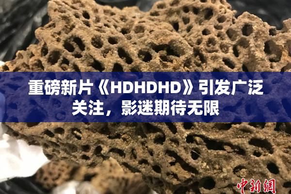 重磅新片《HDHDHD》引发广泛关注，影迷期待无限