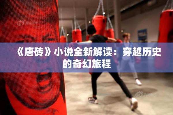 《唐砖》小说全新解读：穿越历史的奇幻旅程