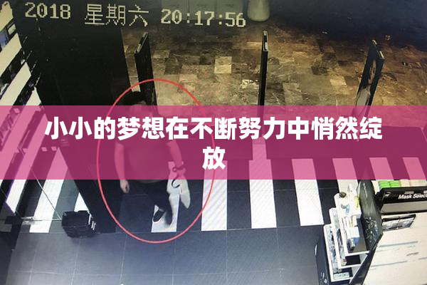 小小的梦想在不断努力中悄然绽放