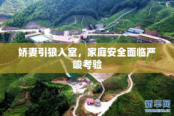 娇妻引狼入室，家庭安全面临严峻考验