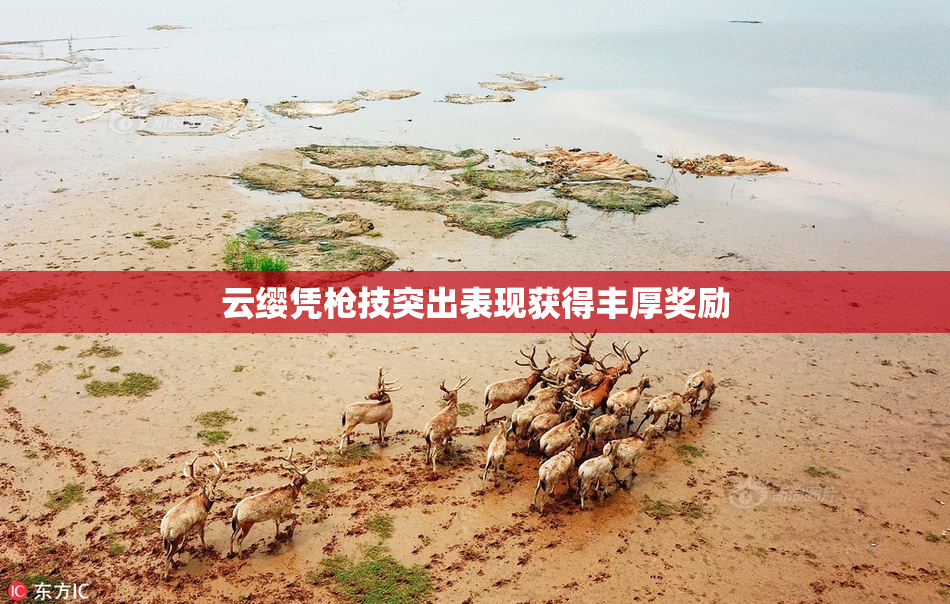 云缨凭枪技突出表现获得丰厚奖励