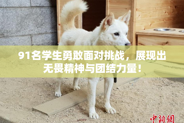 91名学生勇敢面对挑战，展现出无畏精神与团结力量！