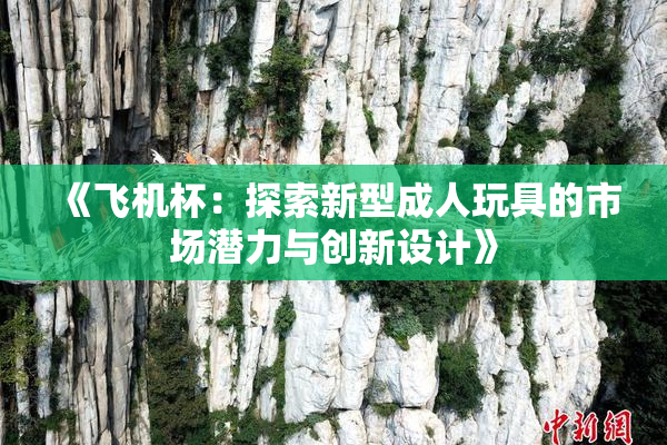 《飞机杯：探索新型成人玩具的市场潜力与创新设计》