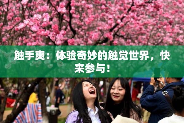 触手爽：体验奇妙的触觉世界，快来参与！