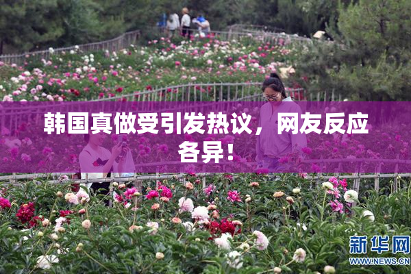 韩国真做受引发热议，网友反应各异！