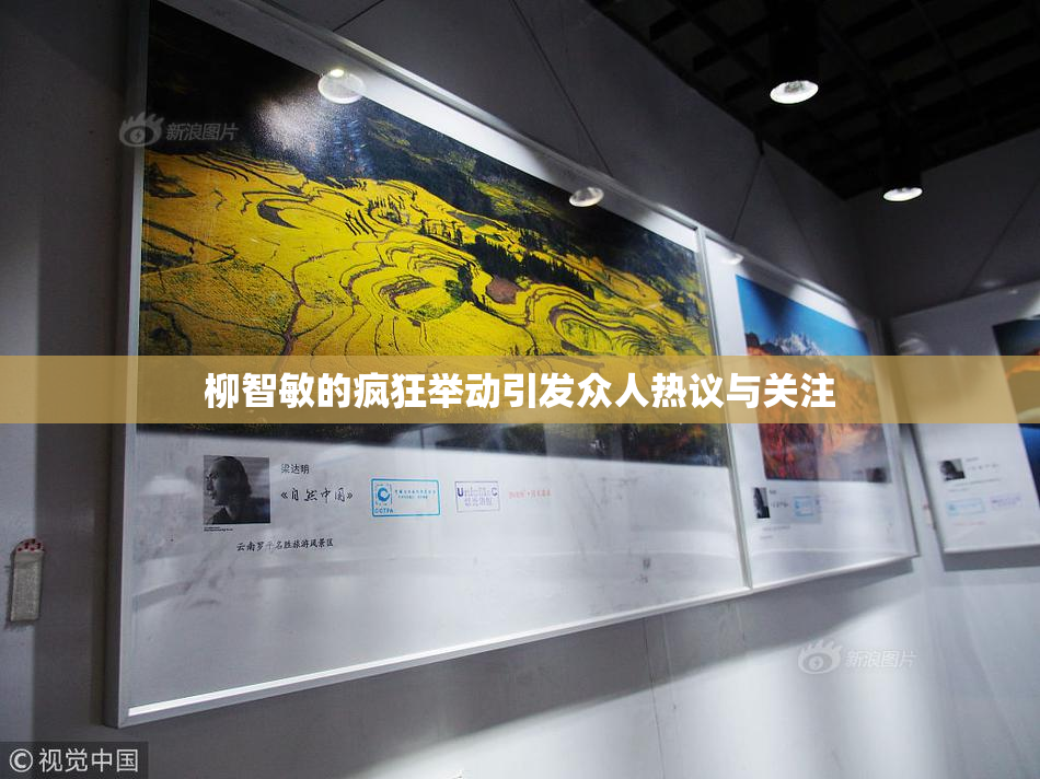 柳智敏的疯狂举动引发众人热议与关注