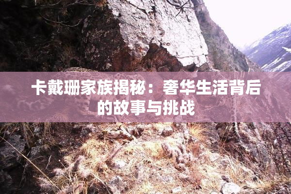 卡戴珊家族揭秘：奢华生活背后的故事与挑战