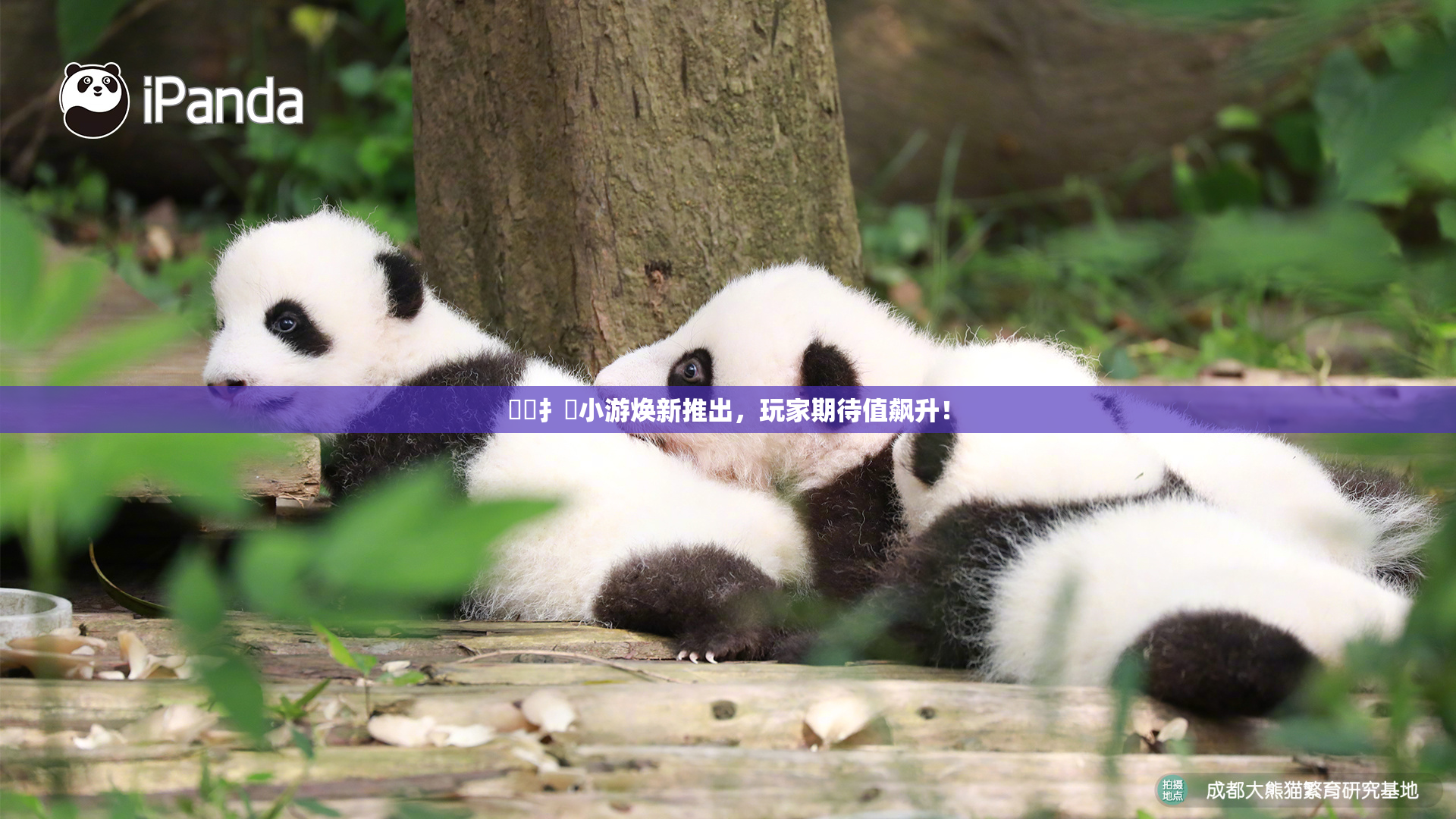 喿喿扌畐小游焕新推出，玩家期待值飙升！
