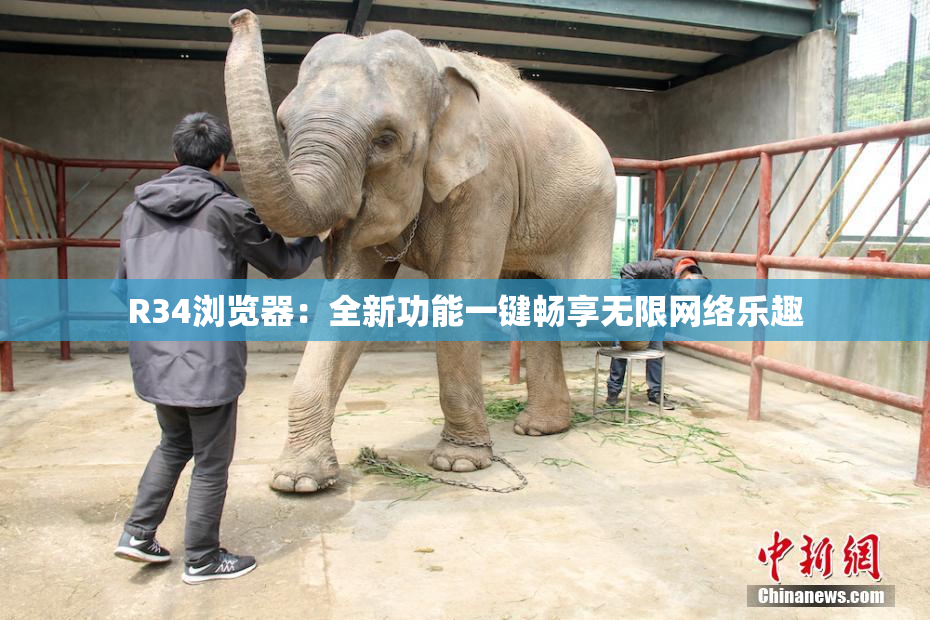 R34浏览器：全新功能一键畅享无限网络乐趣