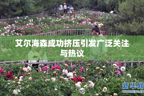 艾尔海森成功挤压引发广泛关注与热议