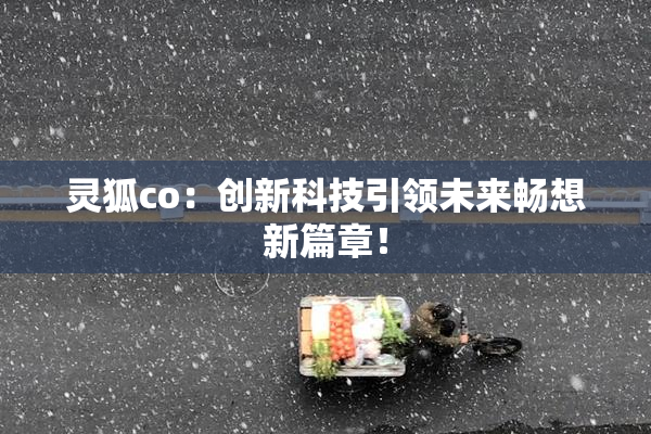 灵狐co：创新科技引领未来畅想新篇章！