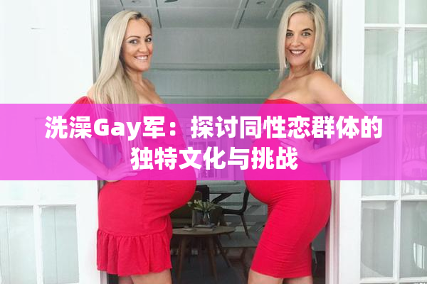 洗澡Gay军：探讨同性恋群体的独特文化与挑战