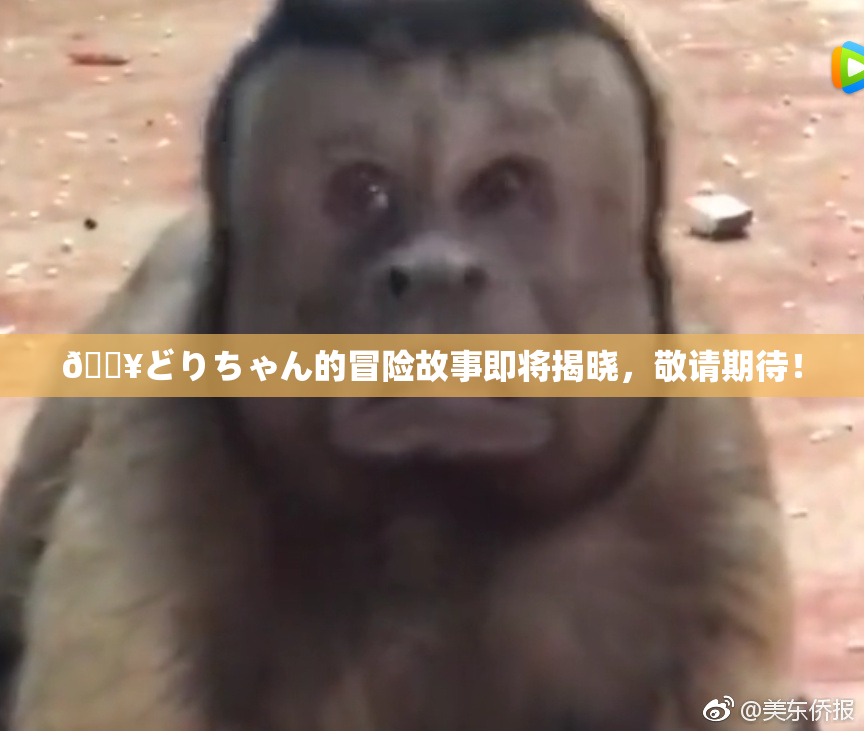 🔥どりちゃん的冒险故事即将揭晓，敬请期待！