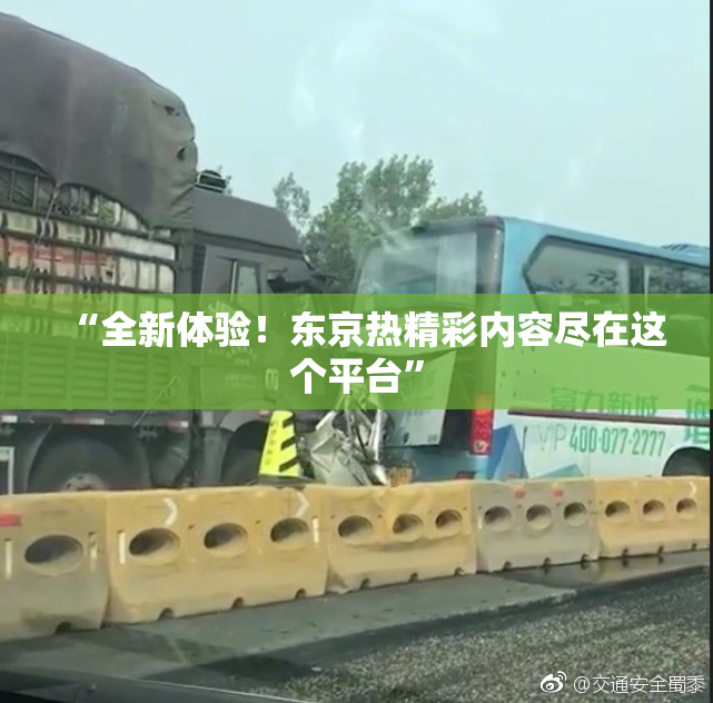 “全新体验！东京热精彩内容尽在这个平台”